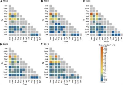 Temporal changes of the food web structure and function driven by changes in hydrological regimes and water quality in a large shallow lake